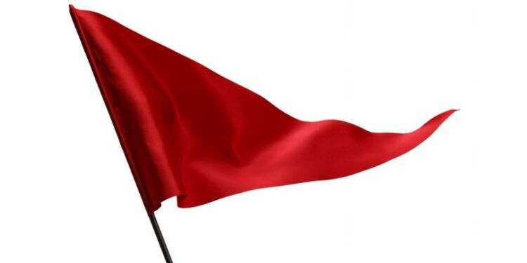 צילום: שאטרסטוק הדגל שניצח את המערכת