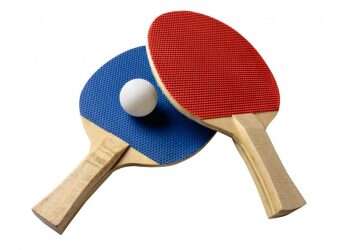 פינג פונג בתוצרת עצמית