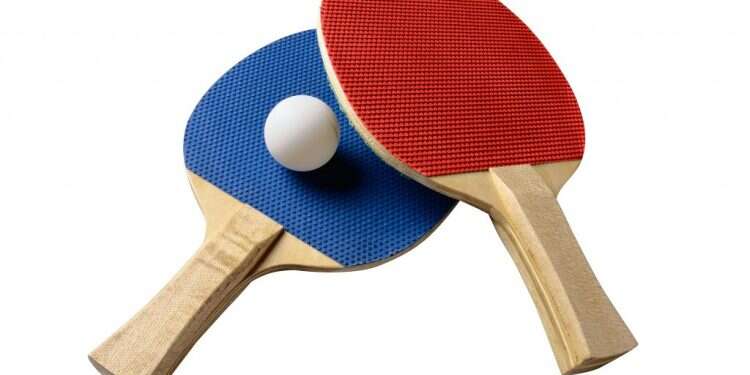 צילום: שאטרסטוק פינג פונג בתוצרת עצמית