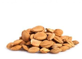 מה יותר טוב מקולולוש וגשם של גוגואים?