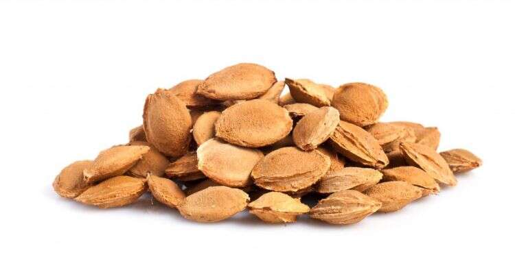 מה יותר טוב מקולולוש וגשם של גוגואים?