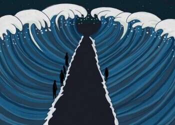 איור: שרון ארדיטי