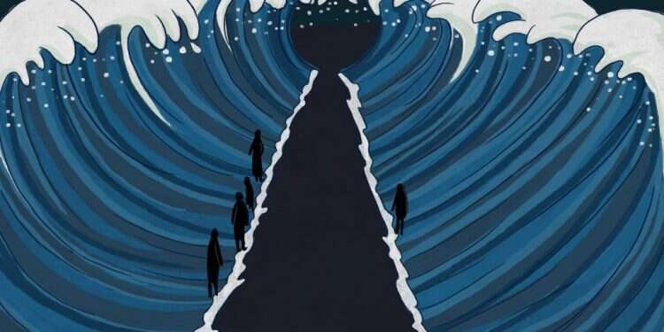 איור: שרון ארדיטי איור: שרון ארדיטי