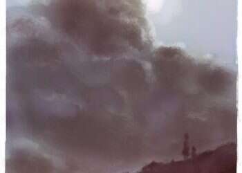 איור: מנחם הלברשטט