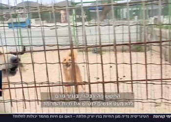 לפעמים גם כשהעובדות נכונות, הסיפור העיתונאי לא מדויק