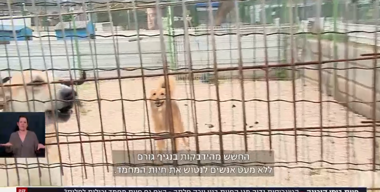 לפעמים גם כשהעובדות נכונות, הסיפור העיתונאי לא מדויק