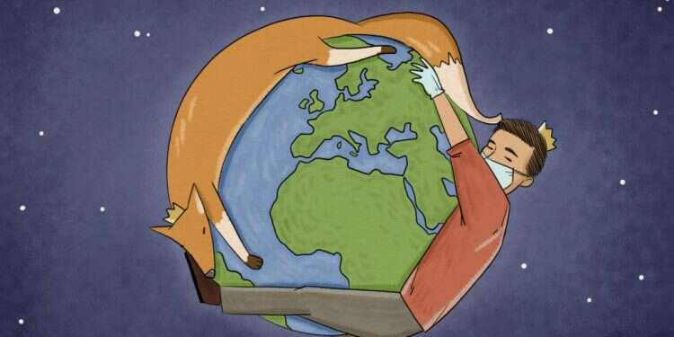 איור: נעמה להב איור: נעמה להב