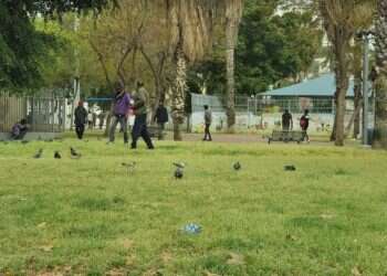 בעיית המסתננים: "צריך להטיל עוצר על דרום תל אביב"