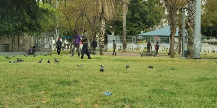 התקהלויות אסורות בגינת לוינסקי ללא הגנה. צילום: גלעד הלחמי בעיית המסתננים: "צריך להטיל עוצר על דרום תל אביב"