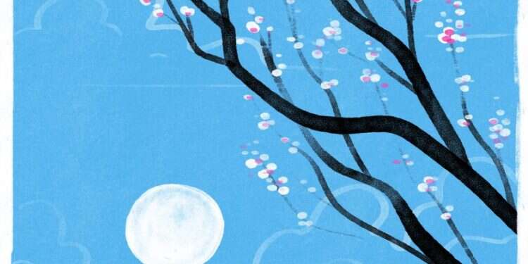 איור: מנחם הלברשטט איור: מנחם הלברשטט