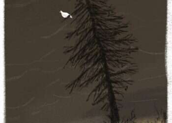 איור: מנחם הלברשטט