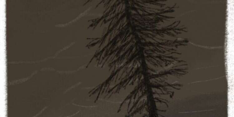 איור: מנחם הלברשטט איור: מנחם הלברשטט