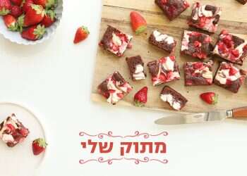 צילום: אפרת ליכטנשטט