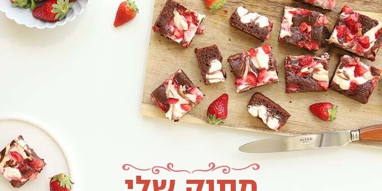 צילום: אפרת ליכטנשטט