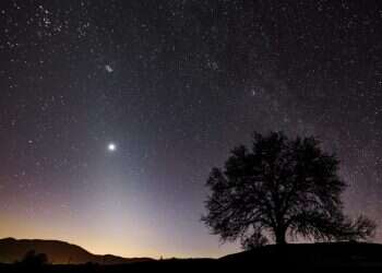  חמישה דברים שלא ידעתם על "זיהום אור"