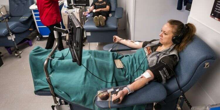 תרומת טסיות דם. אילוסטרציה. צילום: EPA בפריפריה מוותרים על תורמות טסיות דם שיכולות להציל חיים