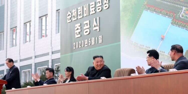 קים ג'ונג און מבקר במפעל דשנים בקוריאה הצפונית, שלושה שבועות לאחר היעלמותו. צילום: EPA התעלומה נפתרה: קים ג'ונג און בריא ושלם