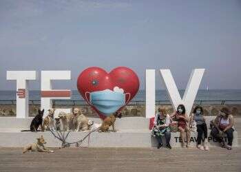 לחיות עם הקורונה: הדברים שלמדנו מהסכסוך