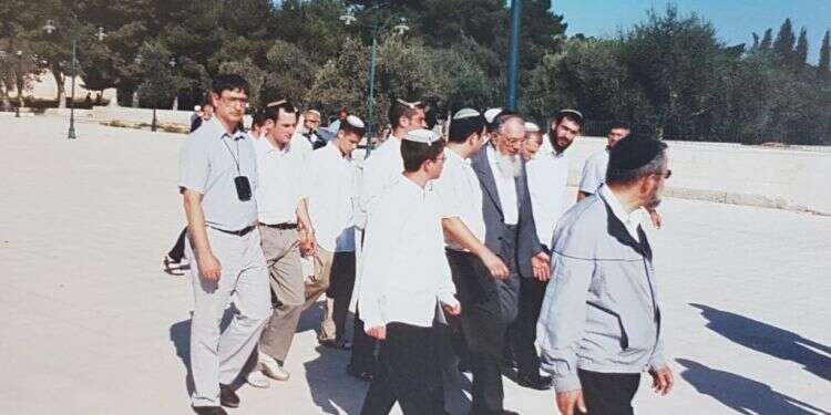 "עומדים אנו כחסרי אונים מול ההר השומם"