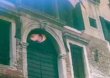 דממת הקורונה חושפת מערכת אקולוגית פורחת בלגונה של ונציה