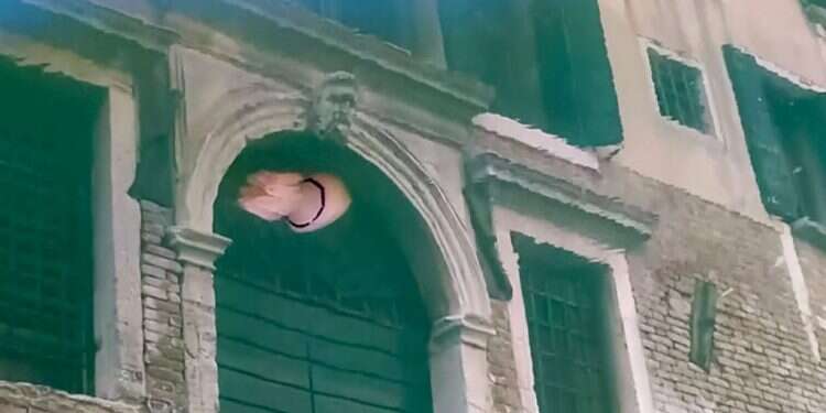 מדוזות בתעלות הצלולות. צילום: איי.אף.פי דממת הקורונה חושפת מערכת אקולוגית פורחת בלגונה של ונציה