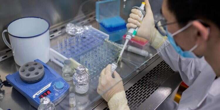 עבודה על חיסון ניסיוני לקורונה. צילום: AFP פרסום מחקרים על נגיף הקורונה דורש שקיפות