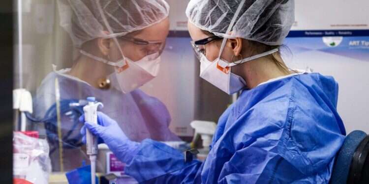 אבחון בדיקת קורונה במעבדת מכבי ברחובות. צילום: AFP מומחים מאשימים: "הממשלה בוחרת בהפחדת הציבור"