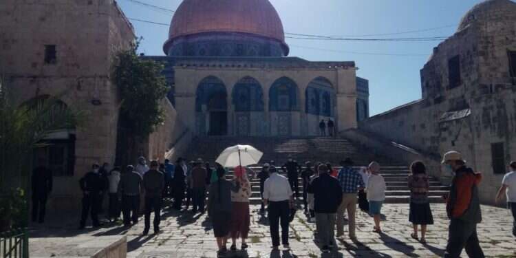 מבקרים יהודים בהר הבית. צילום: סטודנטים למען הר הבית הירי בשוגג ופתיחת הר הבית: השטח במזרח ירושלים תוסס
