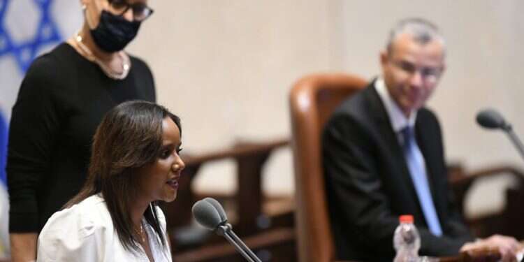 מנופחת אבל חברתית: הגיוון בממשלה עשוי לתרום למקצועיות שלה