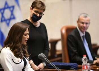 מנופחת אבל חברתית: הגיוון בממשלה עשוי לתרום למקצועיות שלה