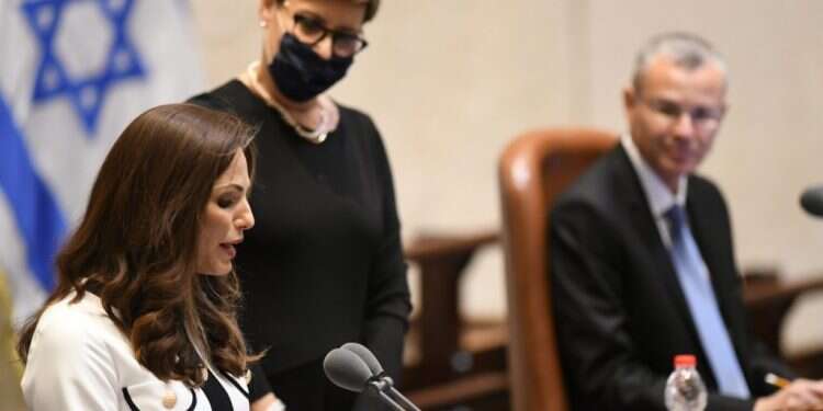 מנופחת אבל חברתית: הגיוון בממשלה עשוי לתרום למקצועיות שלה