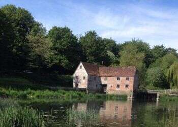 בגלל הקורונה: באנגליה הפעילו טחנת קמח בת אלף שנה