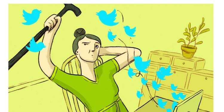 איור: מורן ברק איור: מורן ברק