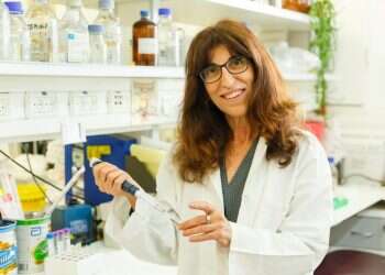 ננו-קורונה: האם מולקולה זעירה תעצור את הנגיף?