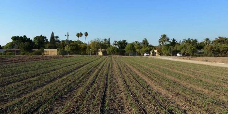 הברכה האלוהית הטמונה בנרקסיזם