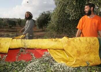 אני מתגעגעת לשמאל של פעם שהאמין בערכים