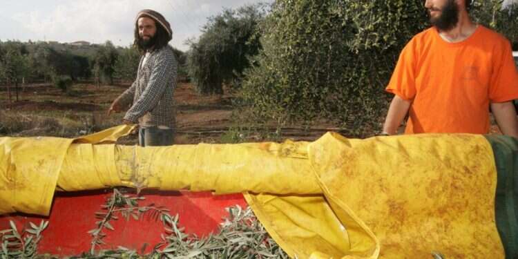 אני מתגעגעת לשמאל של פעם שהאמין בערכים