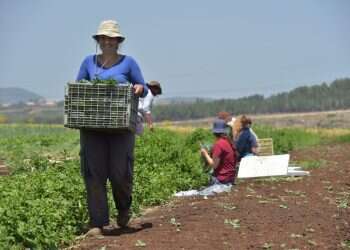 מדעי הדשא: משרד החינוך ירחיב את לימודי החקלאות