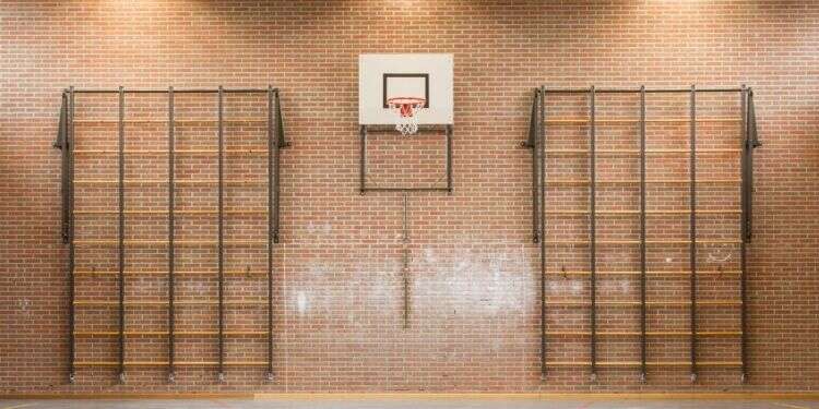 צילום: שאטרסטוק צילום: שאטרסטוק