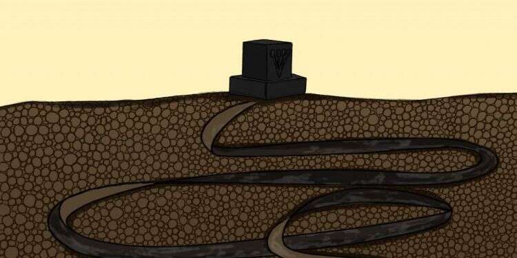 איור: שרון ארדיטי איור: שרון ארדיטי