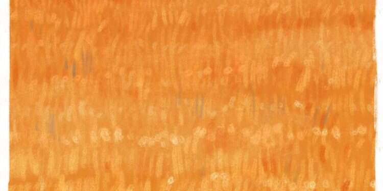 איור: מנחם הלברשטט איור: מנחם הלברשטט