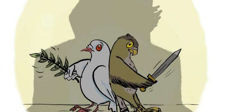 איור: שי צ'רקה