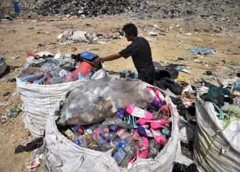 קרב חד פעמי: המומחים לבריאות וארגונים ירוקים נאבקים