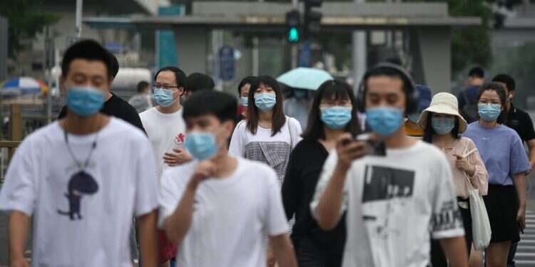 צילום: AFP מגפה חדשה בדרך? זן מדבק של שפעת חזירים נמצא בסין