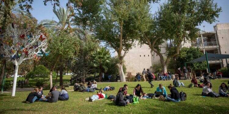 מדשאות באוניברסיטה העברית. צילומים: מרים אלסטר, פלאש 90  "אני רואה את עצמי כשר הסטודנטים"