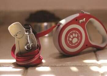 העולל עשה מה שביקשתי, ועכשיו אני חייב לו כלב