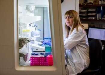 הפטנטים מבוססי הקנאביס שישנו את עולם הרפואה