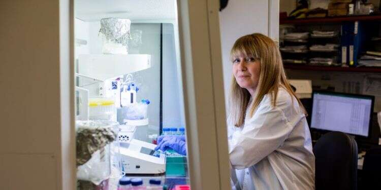 הפטנטים מבוססי הקנאביס שישנו את עולם הרפואה