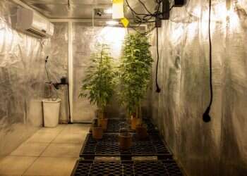 הצצה נדירה לתוך החממה השמורה ביותר במדינת ישראל