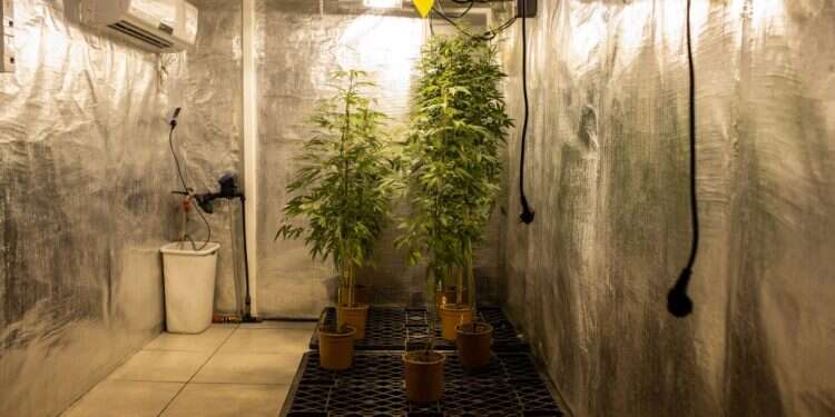 הצצה נדירה לתוך החממה השמורה ביותר במדינת ישראל